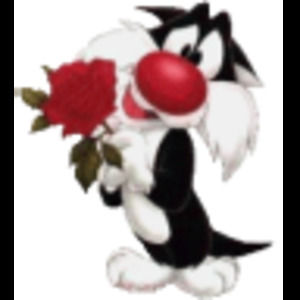 Meet your Posher, Shevana